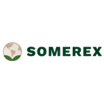 somerex